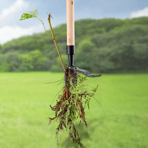 🌱Neuer abnehmbarer Unkrautstecher🌱