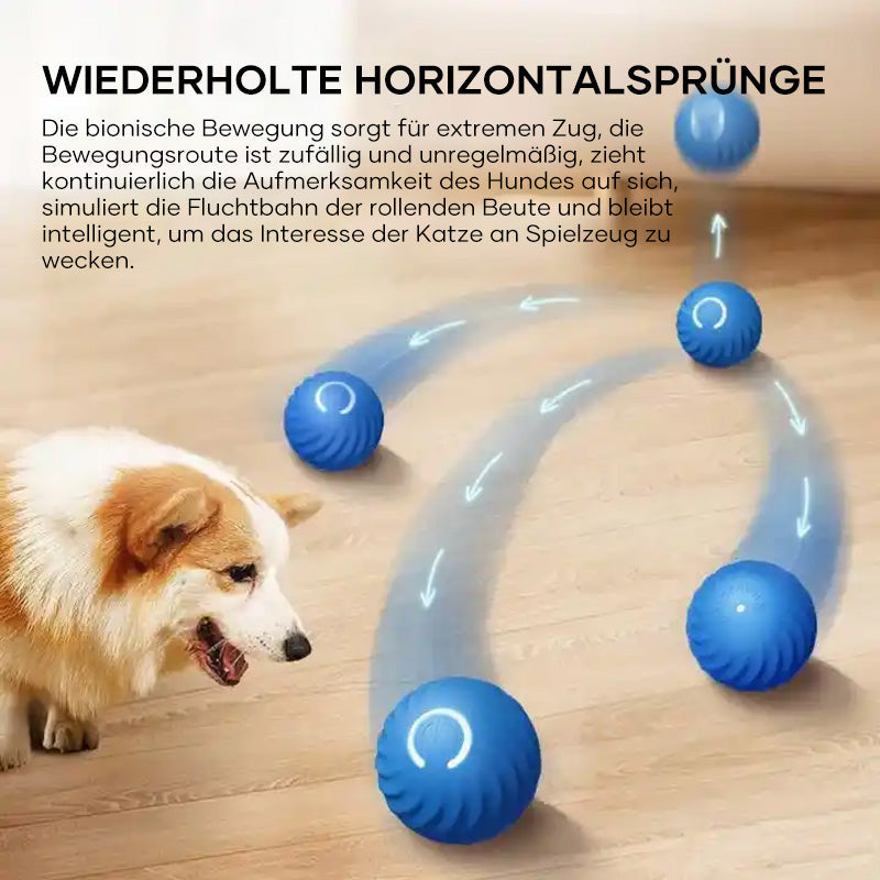 Automatischer intelligenter Hundeball🐶