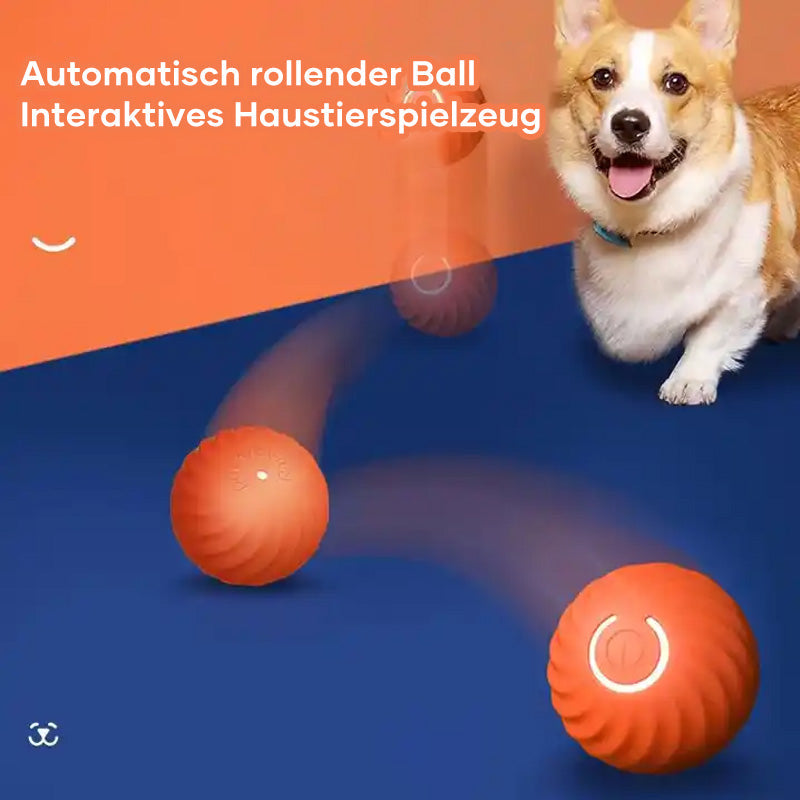 Automatischer intelligenter Hundeball🐶