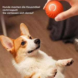 Automatischer intelligenter Hundeball🐶