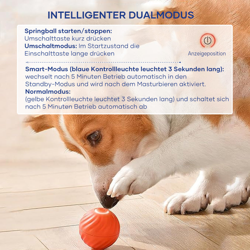 Automatischer intelligenter Hundeball🐶