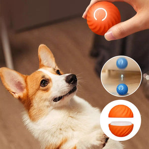 Automatischer intelligenter Hundeball🐶