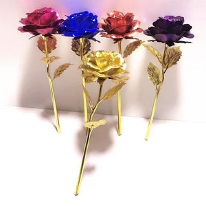 24 Karat Gold Rose