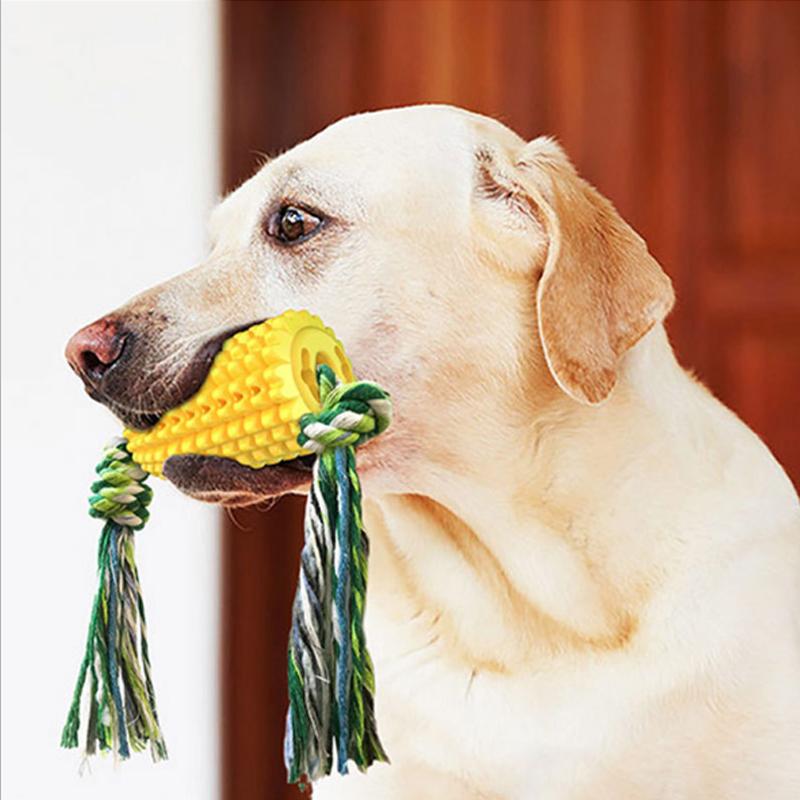 Interessante Beißstock Hundespielzeuge