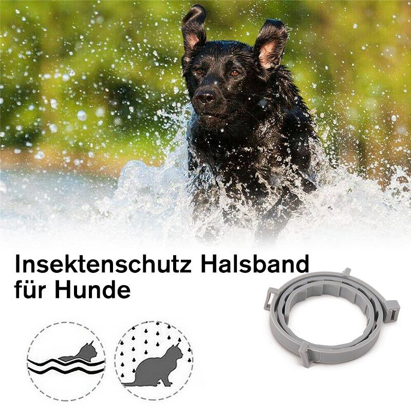 Entwurmung Halsband für Hunde