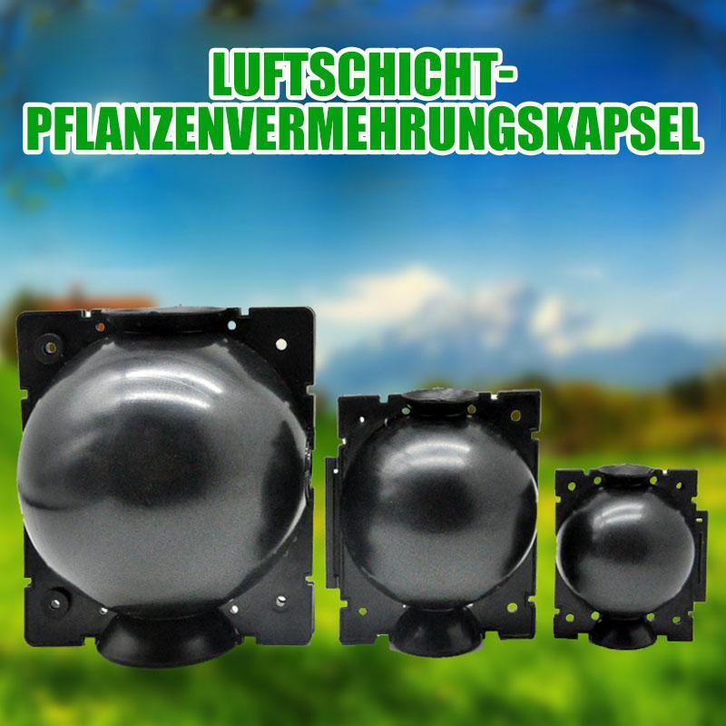 Luftschicht-Pflanzenvermehrungskapsel--5 Stk