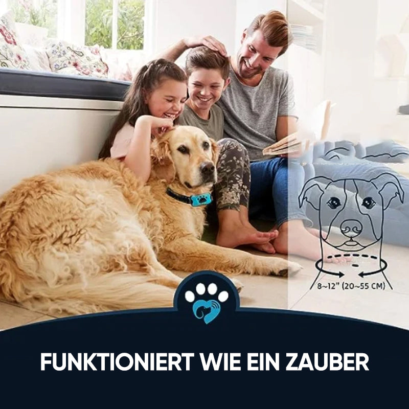 Wiederaufladbarer, wasserdichter Hundetrainer