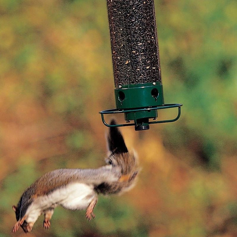 Anti-Eichhörnchen-Vogelhäuschen