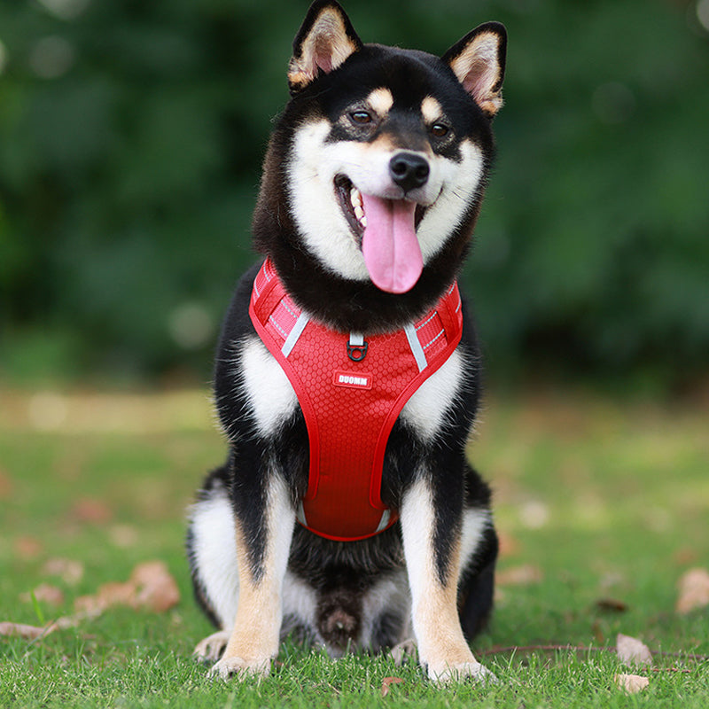 Reflektierender Hunde-Brustgurt