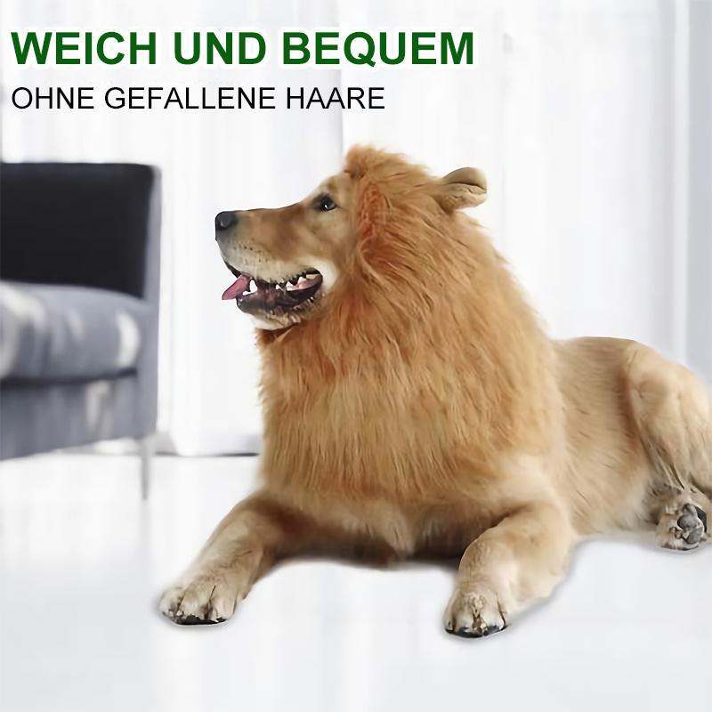 Löwenmähne Perücke für Hunde