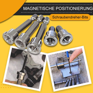 Magnetischer Positionierungs-Schraubendreher