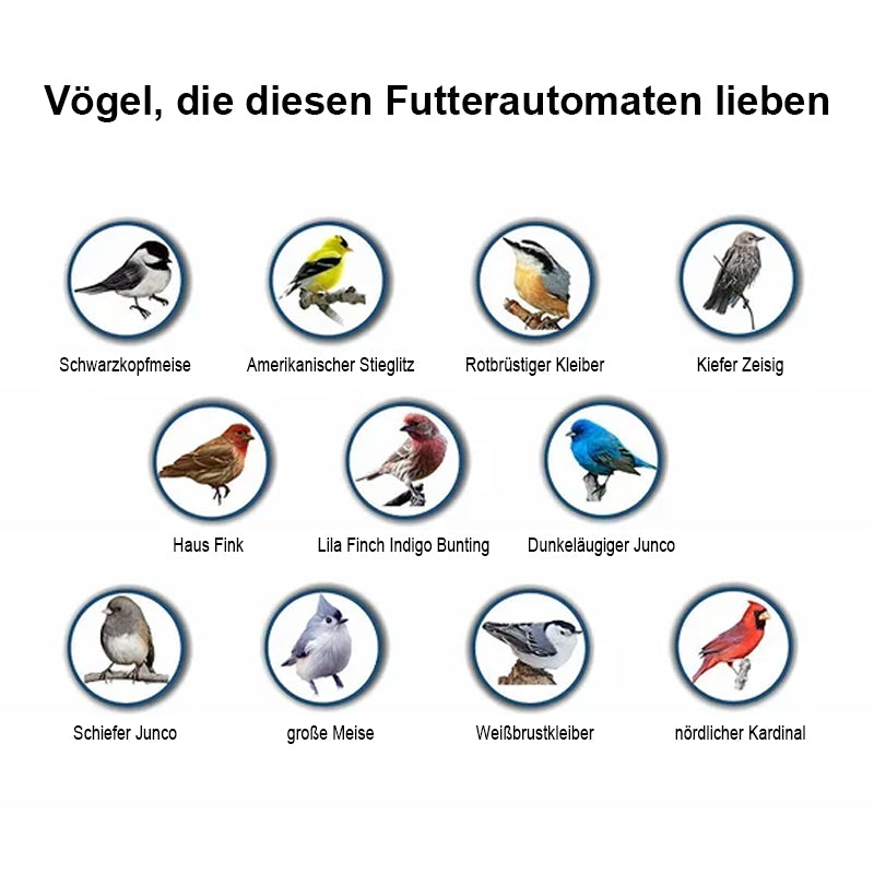 Anti-Eichhörnchen-Vogelhäuschen