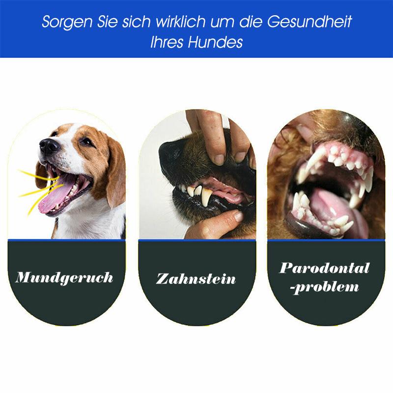 Pet Drei-Kopf-Zahnbürste