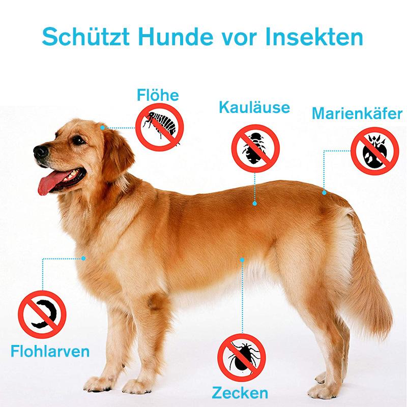 Entwurmung Halsband für Hunde