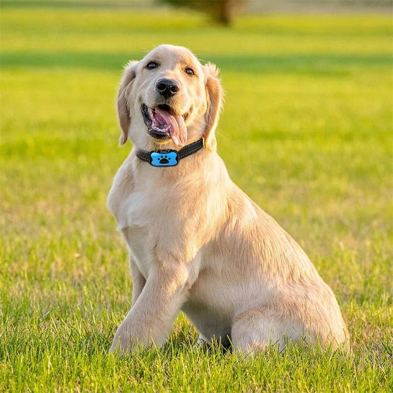 Wiederaufladbarer, wasserdichter Hundetrainer