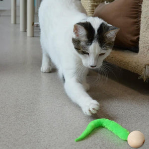 Wackeliges Katzenspielzeug mit Glocken